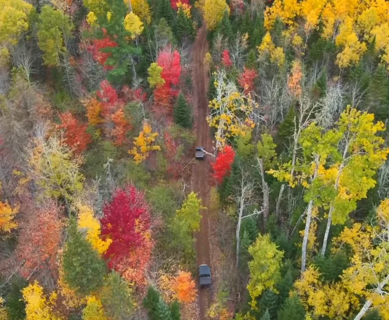 Aerial view of ATV riders travelling through Eastern PEI fall forest